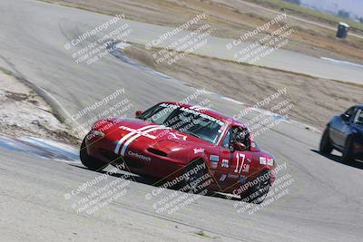 media/May-01-2022-CalClub SCCA (Sun) [[03a481c204]]/Group 5/Race (Offramp)/